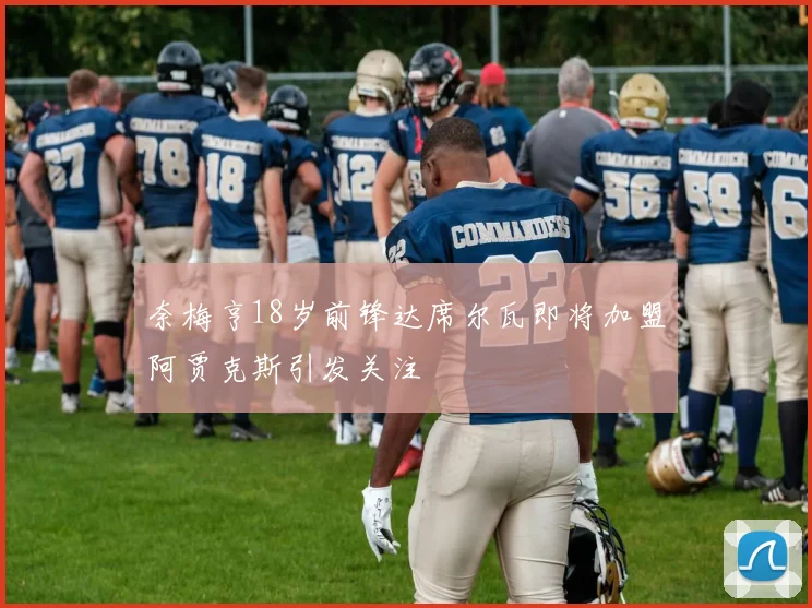 奈梅亨18岁前锋达席尔瓦即将加盟阿贾克斯引发关注