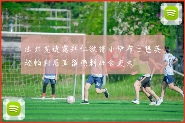 法尔克透露拜仁欲将小伊布出售英超帕利尼亚留热刺机会更大